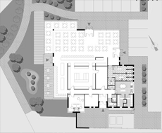 section