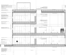 section
